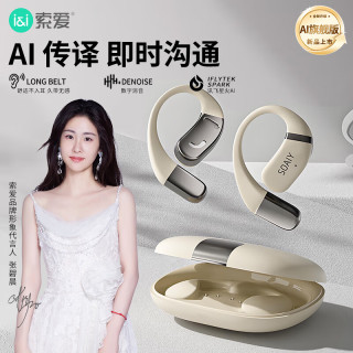 索爱 soaiy）GD35 AI版 蓝牙耳机真无线不入耳挂耳式运动跑步骑行通话降噪适用苹果华为小米vivo 灰白色