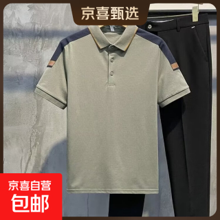 京喜 夏季POLO衫男新款时尚百搭舒适商务男日常休闲宽松男半袖简约上衣 绿色 4XL