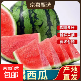 坏果包赔新鲜采摘脆甜河南商丘麒麟西瓜新鲜多汁无籽甜瓜产地直发 净重4-6斤/个