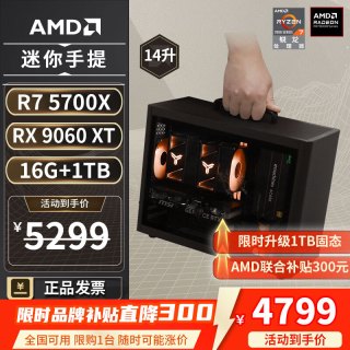 AMD 电脑组装机 迷你主机ITX整机  RX 9060XT R5-9600X
