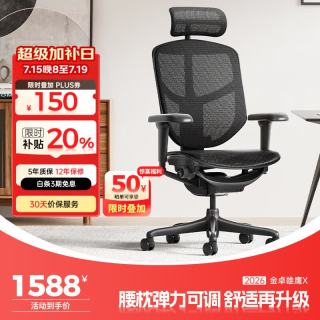 Ergonor 久坐不易累 人体工学椅  黑色网+躺舒宝