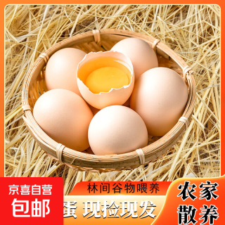 海佑正宗鲜鸡蛋新鲜山鸡蛋柴鸡蛋农村谷饲生鲜单枚40g-45g 土鸡蛋20枚