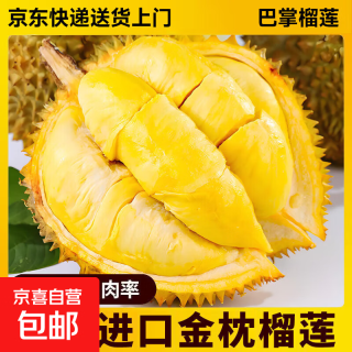 金枕榴莲新鲜果肉饱满新鲜生鲜香甜软糯 净重3-4斤