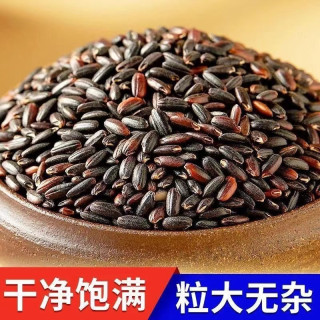 发三斤 东北黑糯米 3斤 五谷杂粮 粗粮
