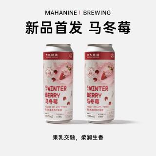 大九 马冬莓酸奶冰淇淋西打果泥啤酒 500ml*2罐