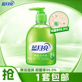 蓝月亮 抑菌洗手液 抑菌率99.9% 温和呵护 芦荟保湿护手 清洁滋润 300g*1瓶