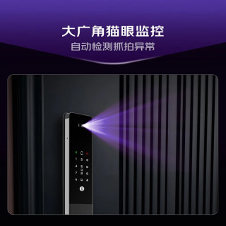 凯迪仕 Q2 FV 3D人脸识别 全自动智能锁