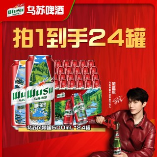 移动端：乌苏啤酒 大红乌苏 500ml*24罐