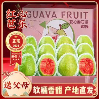 粤迎 红心软糯芭乐新鲜现摘番石榴广西低糖水果 5斤甄选装净4.5斤