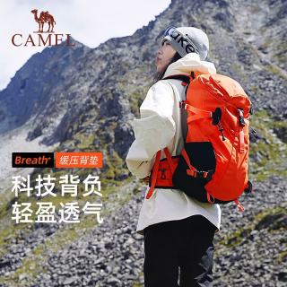 骆驼 户外双肩包26L专业登山包旅行徒步大容量背包