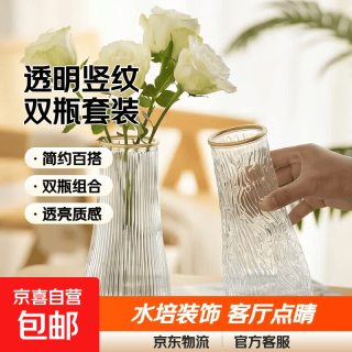 京喜 玻璃花瓶透明植物插花瓶水培容器大花瓶装饰客厅摆件 透明竖条纹（17*5.5*8） 1个装