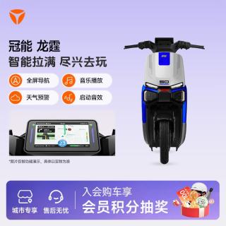 雅迪 冠能龙霆Y-G 电动自行车 时尚男士通勤代步防盗智能电动车 颜色到店自选