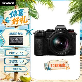 Panasonic S5K（Panasonic）全画幅微单相机数码相机微单套机（20-60mm）约2420万有效像素5轴防抖双原生ISO