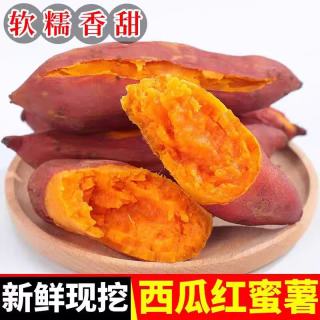 现挖沙地蜜薯红薯新鲜农家糖心番薯烤地瓜软糯批发黄心包邮 西瓜红红心蜜薯2斤中小果