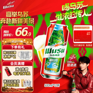 乌苏啤酒 红乌苏啤酒 500ml*12听