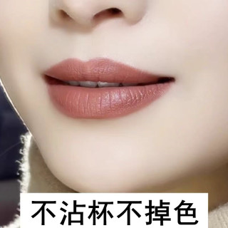 AECE哑光口红防水不沾杯显白肉桂奶茶色雾面伪素颜正品细管口红