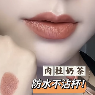 AECE肉桂奶茶色口红防水不掉色不沾杯不脱色显白丝绒哑光细管正品