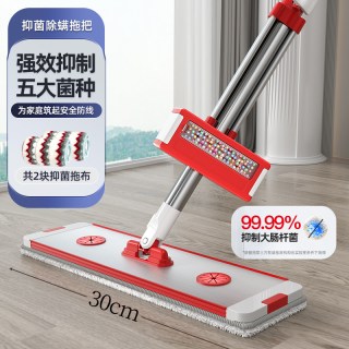 焦颜 抑菌拖把2026新款家用懒人一拖净免手洗平板拖地神器拖布干湿两用