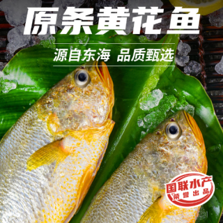 国联 东海原装黄鱼1kg 三条装 烧烤食材 自营海鲜水产
