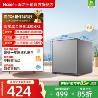 海尔 BC-43GHSDE0S9 一级能效 43L 银色 单门冰箱