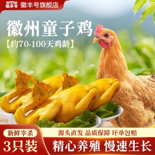 徽丰号 正宗徽州童子鸡 整只生鲜白切鸡 3只装650g/只