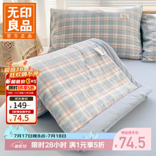 无印良品 A类里外全棉棉花夏被 印象兰 150*200cm