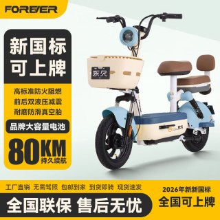永久 电动车新款女生小型轻便新国标电动自行车成人代步通勤续航电单车两轮电瓶车
