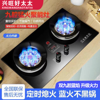 兴旺好太太 家用燃气灶煤气双灶九腔猛火燃气灶液化气天然气猛火灶
