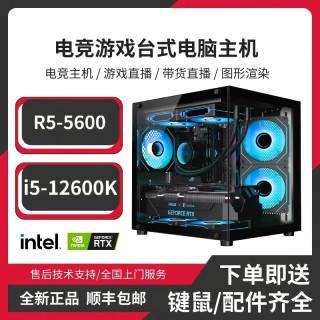 SKIG Intel/AMD电竞游戏组装机台式电脑5主机畅玩各类网游8G独显