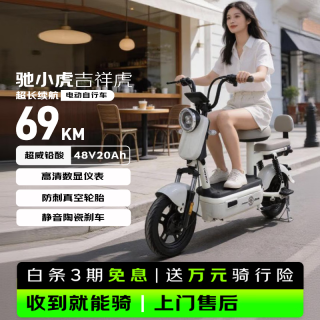 驰小虎 长续航 电动自行车 48V20Ah电池