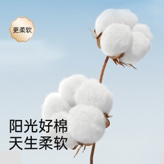 云霓 安睡裤官方旗舰店正品姨妈卫生巾安心裤姨妈裤夜安裤产妇专用