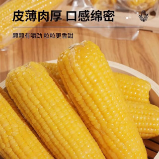 开源保丰 铝箔装黄糯玉米 250g*8支