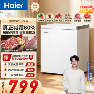 海尔 100/200升一级能效低霜家用冰柜