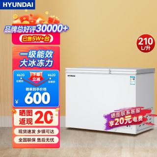 HYUNDAI 韩国现代）商用家用卧式 卧式冰箱  210L双门双温 210L