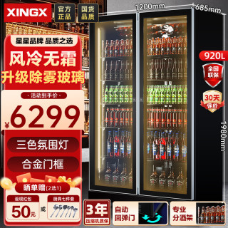 星星 展示柜冷藏保鲜柜网红啤酒柜风冷双开门饮料商用酒吧酒水全屏机除雾IVGC-2D-6520W电热丝款