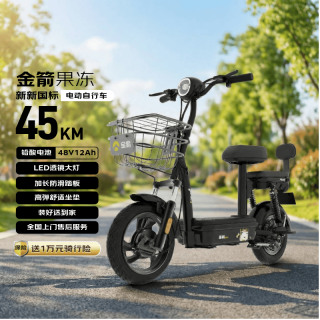 金箭 果冻电动自行车 48V12AH铅酸电池长续航
