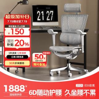 Ergonor 保友 优b雄鹰 人体工学电脑椅 银白网 可旋转可升降扶手