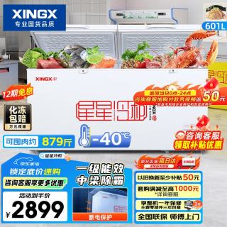 星星 601L商用冰柜 大容量冰箱冷藏冷冻转换柜  BD/BC-628GE