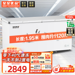 星星 700升单温冰柜商用冷藏冷冻两用卧式冰箱大容量雪柜速冻保鲜柜节能-40℃冷冻柜BD/BC-700C/U