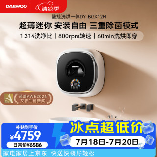 大宇 超薄迷你壁挂式洗衣机家用小型内衣裤专用洗烘一体机DY-BGX12H白