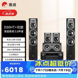 HiVi D50HT 天龙X580功放 5.0声道家庭影院音箱功放组合套装  落地式木质客厅电