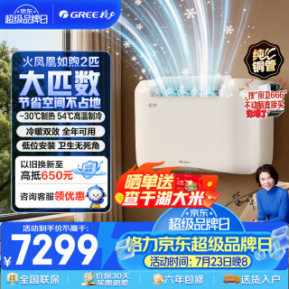 格力 空气能空调 火凤凰如煦2匹 一级能效冷热一体机 地暖平替煤改电采暖GN-50DZW/(50460)FNhAd-B1