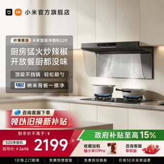 米家 S20系列 MJ10CY+MJ04B 侧吸式烟灶套装 天然气