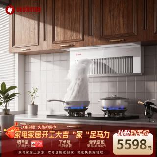 赛斯黛玛 赛斯德玛隐藏式抽油烟机升降侧吸油烟机变频静音大吸力不锈钢油烟机油烟分离免清洗 一级能效