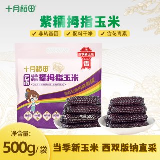 十月稻田 黑紫金拇指宝宝玉米棒 非转基因