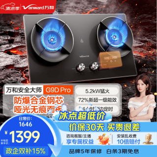 万和（Vanward）嵌入式家用燃气灶5.2kW天然气猛火煤气双炉G9D P