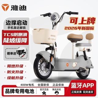 百亿补贴：雅迪 C09-G电动自行车 48V22Ah 新新国标