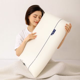 FUANINAIART 深睡眠慢回弹  记忆枕朵酒店枕头 护颈椎睡眠