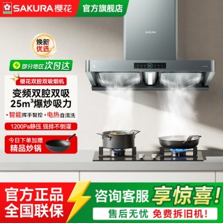 移动端：樱花 官方抽油烟机PTE06家用厨房欧式顶吸自清洁吸油烟机烟灶套装