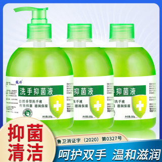 龍升 抑菌洗手液滋润清洁自然清香型儿童通用瓶装家用